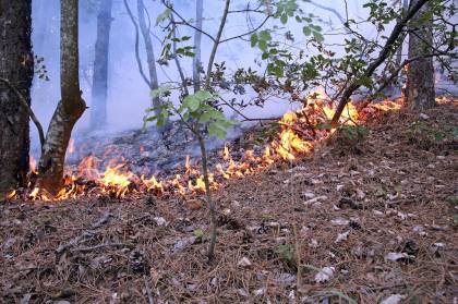 INCENDIO NEI BOSCHI TRA COSSOGNO E MIAZZINA. PRONTO INTERVENTO DI VIGILI DEL FUOCO E VOLONTARI DI AIB, SITUAZIONE SOTTO CONTROLLO