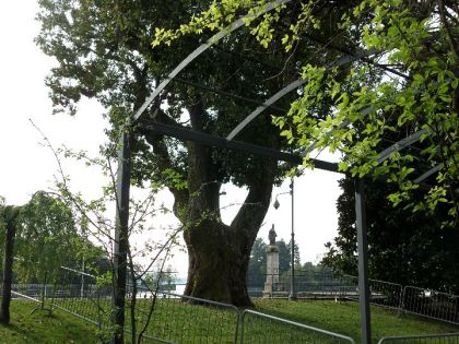 UN DUPLICE APPUNTAMENTO ALLA SCOPERTA DEGLI ALBERI DELLA CITTA’