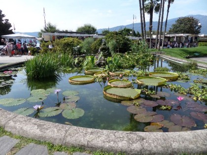 RIPRISTINATA LA FONTANA DELLE NINFEE