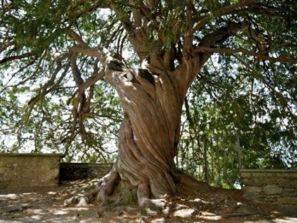 CAVANDONE SARA’ IL “BORGO STREGATO”