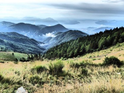 PROSEGUE IL PERCORSO DEL PROGETTO PER CONSERVARE LA POPOLAZIONE ALPINA DI LUPO