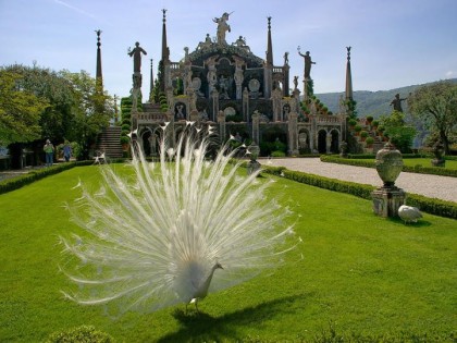 APERTE ISOLE E ALTRE TERRE BORROMEO