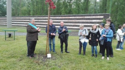 ALBERI COMMEMORATIVI AL PARCO DELLA MEMORIA E DELLA PACE