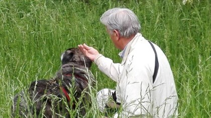 ALLARME AI PROPRIETARI DI CANI: BOCCONI DI CIBO CON CHIODI ALL’INTERNO TROVATI IN VIA FRANZOSINI