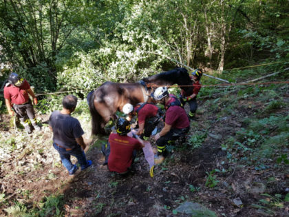 GIORNATA DENSA DI IMPEGNI PER I VIGILI DEL FUOCO