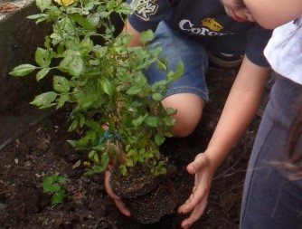 ALBERI NELLE SCUOLE PER “M’ILLUMINO DI MENO”