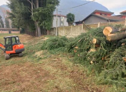 GREEN GATE E ITALIA NOSTRA PROTESTANO PER L’ABBATTIMENTO DI ALBERI